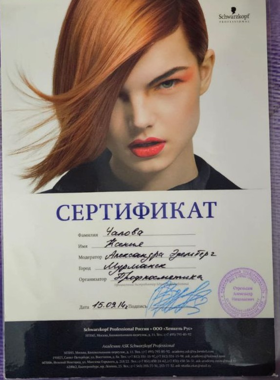 Сертификат Schwarzkopf — современные техники окрашивания (2014)